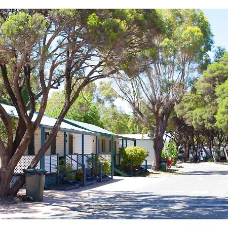 Discovery Parks - Coogee Beach Εξωτερικό φωτογραφία